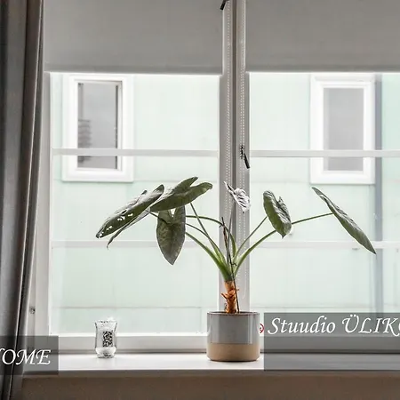 Heart, Апартаменты Тарту