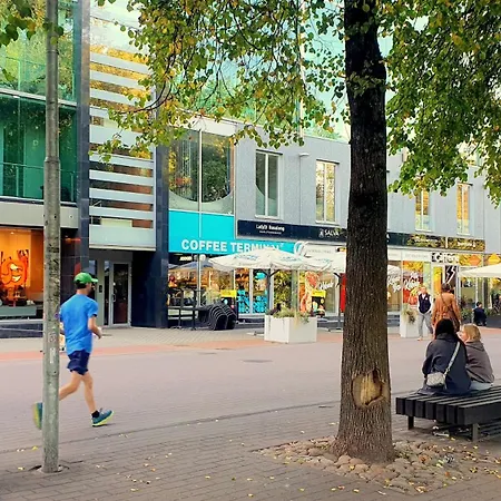 Heart, 公寓 塔尔图