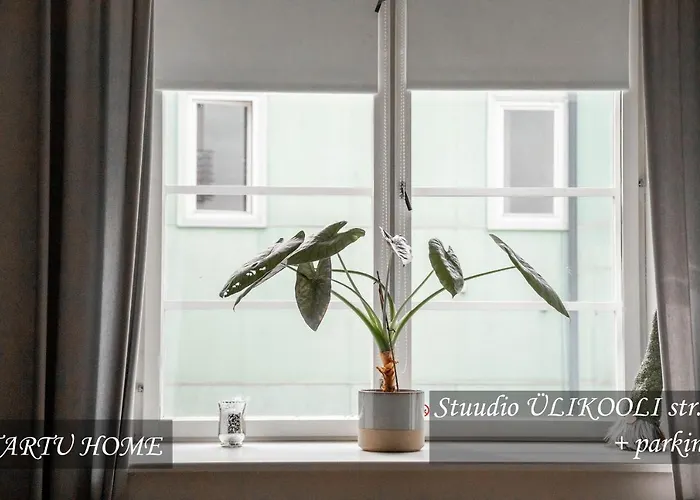 Heart, Apartment Tartu